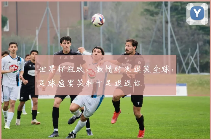 世界杯狂欢，激情对决逗笑全球，足球盛宴笑料十足逗逗你
