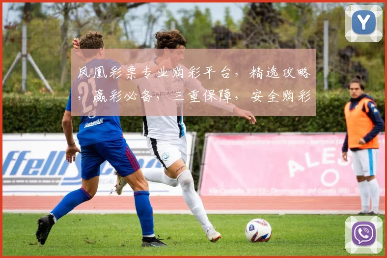凤凰彩票专业购彩平台，精选攻略，赢彩必备，三重保障，安全购彩体验