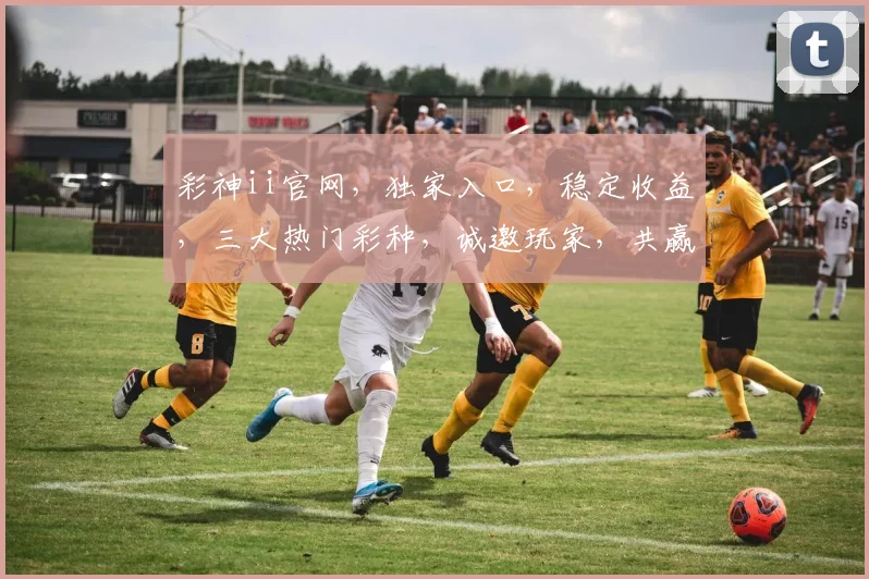 彩神ii官网，独家入口，稳定收益，三大热门彩种，诚邀玩家，共赢财富