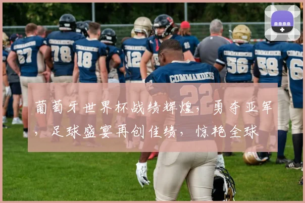 葡萄牙世界杯战绩辉煌，勇夺亚军，足球盛宴再创佳绩，惊艳全球
